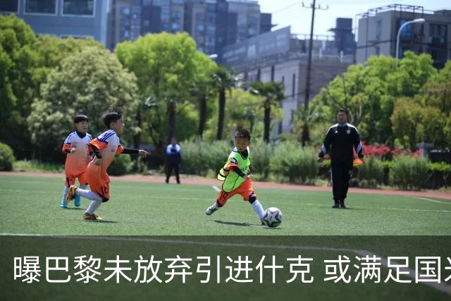 曝巴黎未放弃引进什克 或满足国米7000万欧要求